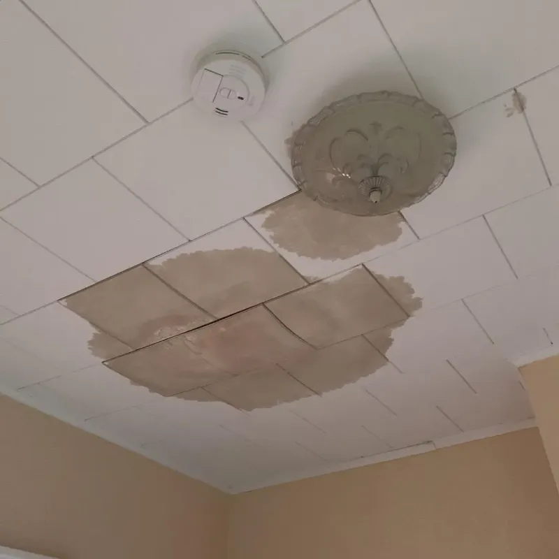 Ceiling Water Damage Repair in Goodman, MO