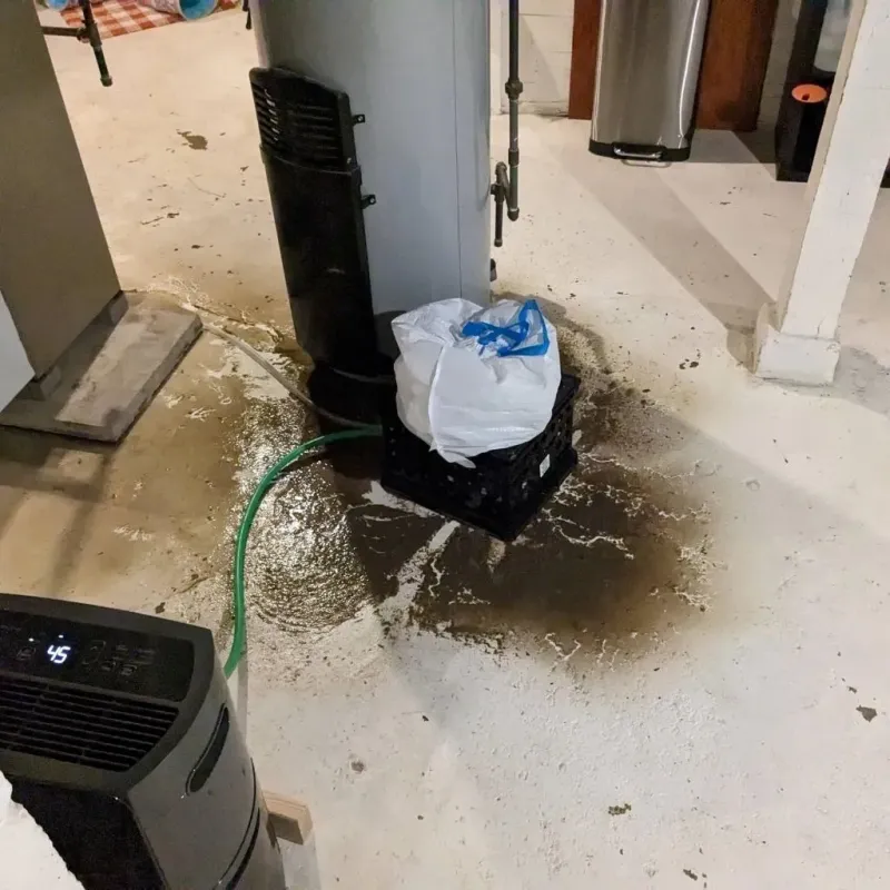 Sewage Backup Cleanup Service in Goodman, MO